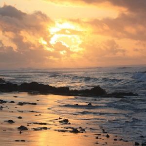 Meet your Posher, Lydia w.